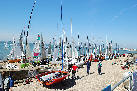 wpe629205b.jpg