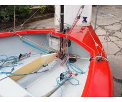 Red Snapper 3462