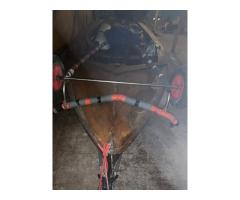 N1703 Proctor 4a - FREE