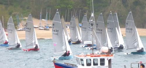 Salcombe start line